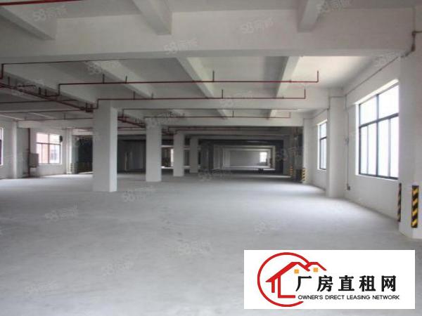  2500方900方标准一手厂房消防过关水电齐全