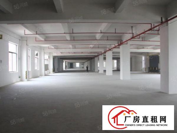  2500方900方标准一手厂房消防过关水电齐全