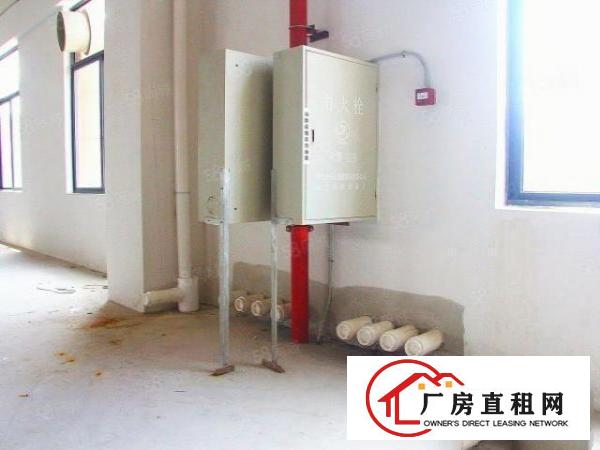  1000方专注金属表面处理等污染行业标准厂房证件齐全