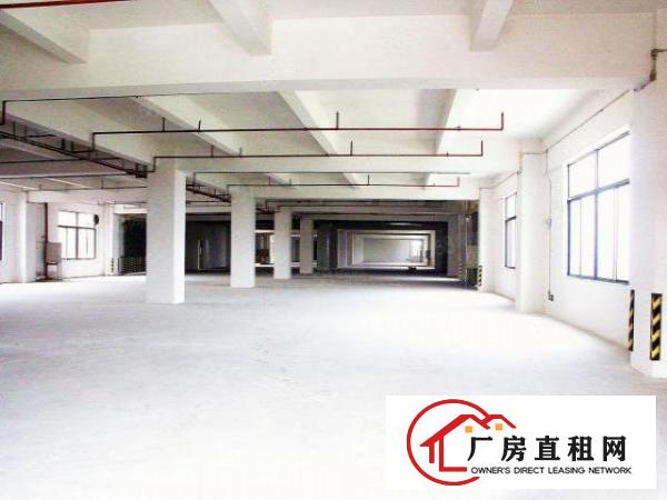  1000方专注金属表面处理等污染行业标准厂房证件齐全