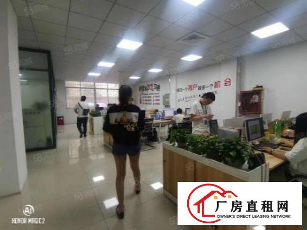  龙华汽车站附近新出一楼整层精装修，带前台玻璃办公室厂房招租