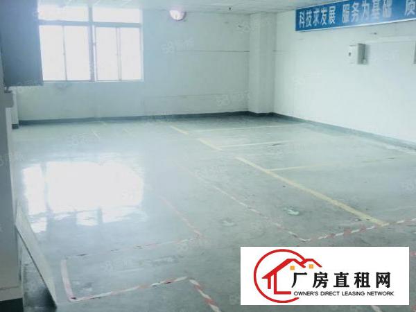  龙华主干道附近新出202平方仓库出租，带部分装修