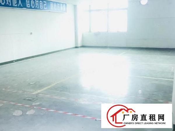  龙华主干道附近新出202平方仓库出租，带部分装修