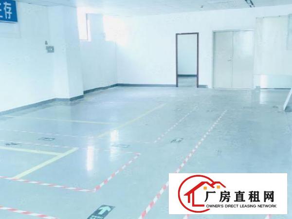  龙华主干道附近新出202平方仓库出租，带部分装修