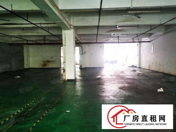  龙华天虹附近新出一楼厂房700平出租