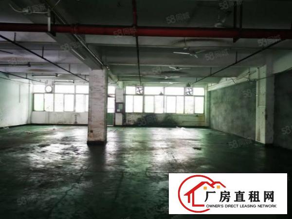  龙华天虹附近新出一楼厂房700平出租