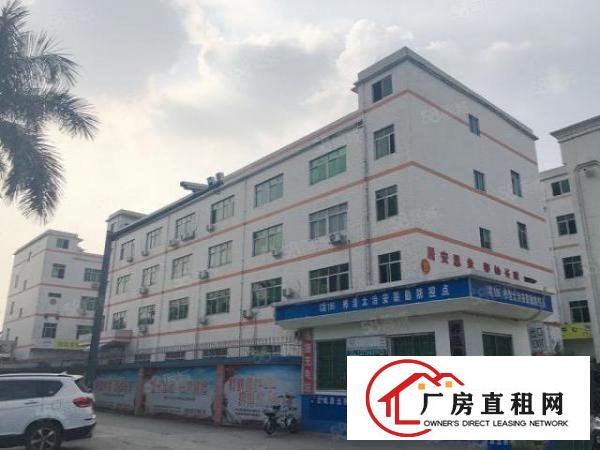  龙华汽车站旁480平方带精装修办公室厂房业主直租