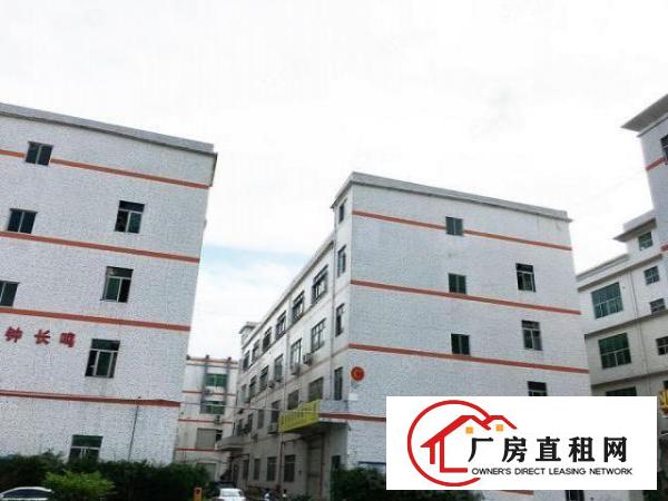  龙华汽车站旁480平方带精装修办公室厂房业主直租