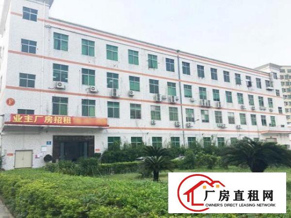  龙华汽车站旁480平方带精装修办公室厂房业主直租