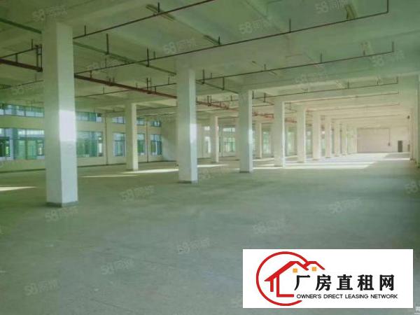  福龙路与深海高速立交12000平标准厂房一二楼均价26