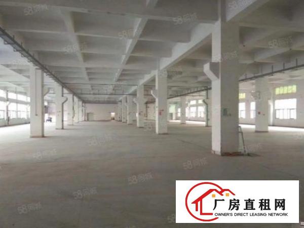  福龙路与深海高速立交12000平标准厂房一二楼均价26