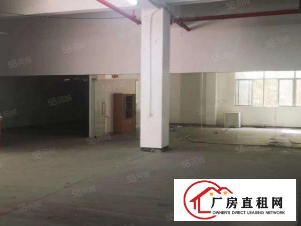  龙华福龙路旁新出一楼1600平标准厂房出租水电齐全价格美丽