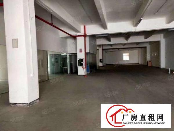  龙华福龙路旁新出一楼1600平标准厂房出租水电齐全价格美丽