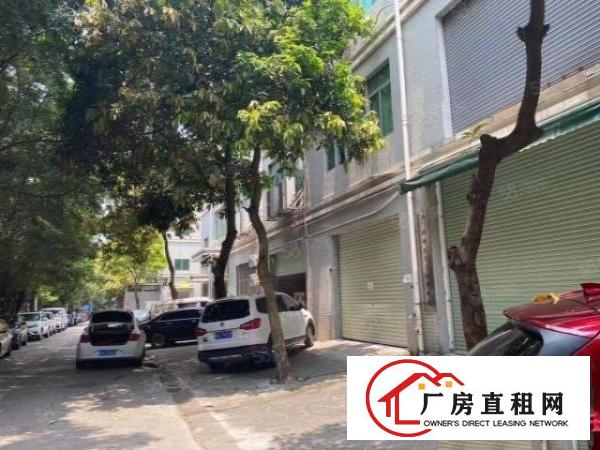  龙华清湖新出一楼带装修720平厂房出租