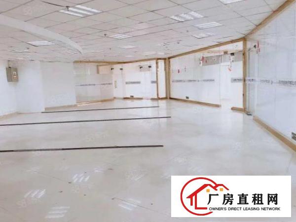  房东招租！龙华油松新出豪华精装办公室435平！218平！