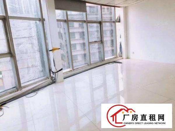  房东招租！龙华油松新出豪华精装办公室435平！218平！