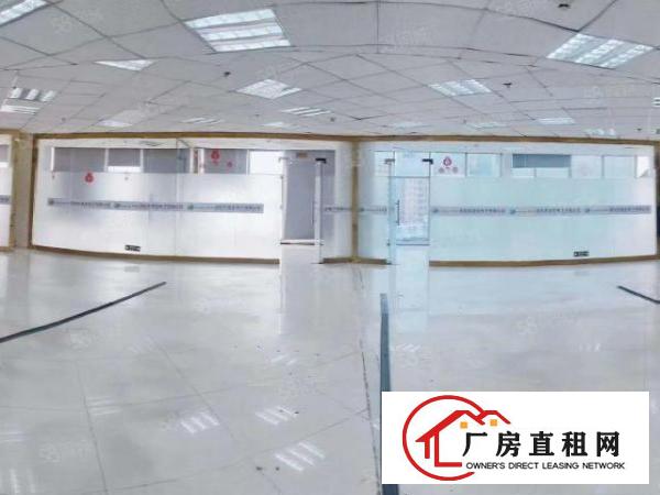  房东招租！龙华油松新出豪华精装办公室435平！218平！