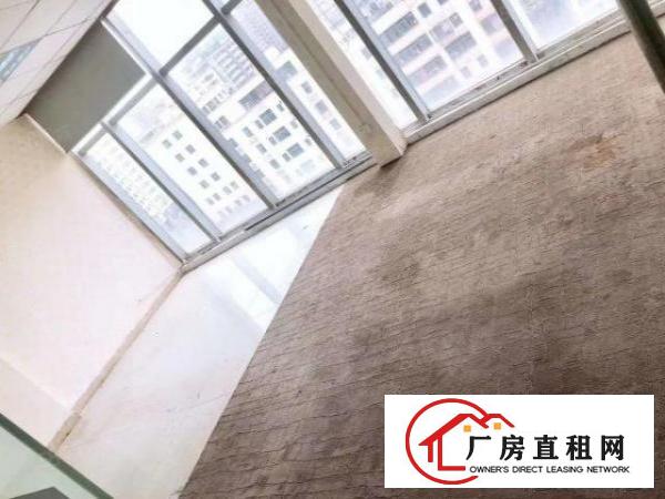  房东招租！龙华油松新出豪华精装办公室435平！218平！