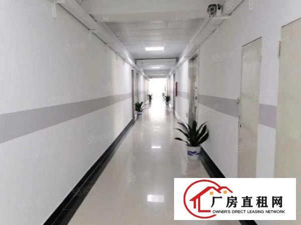  龙华精装修厂房120平米