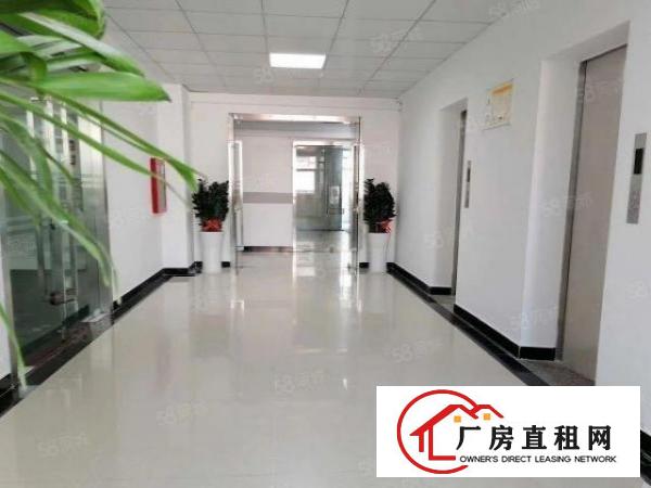  龙华精装修厂房120平米