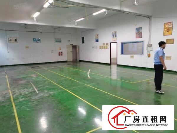  龙华元芬地铁口新出600平带装修厂房出租