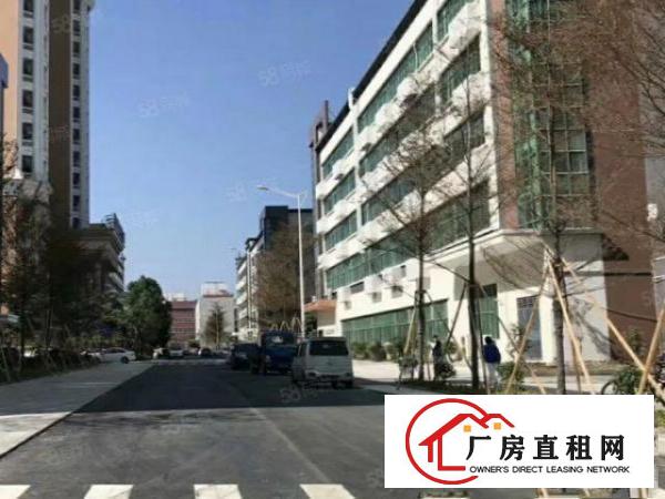  龙华汽车站带装修厂房出租