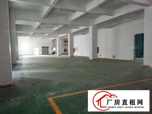  龙华梅龙路主干道旁新出一楼1500平可做汽车检测厂房招租