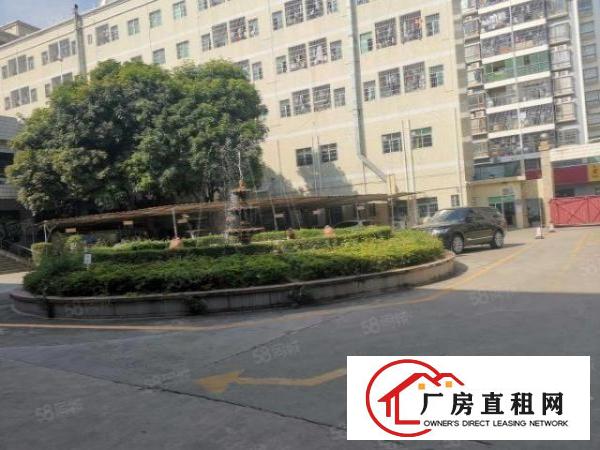  龙华梅龙路主干道旁新出一楼1500平可做汽车检测厂房招租