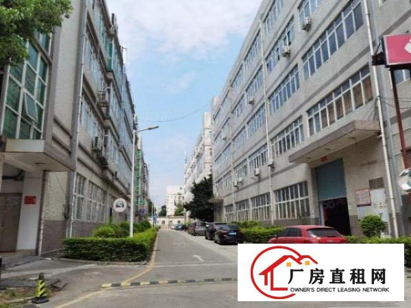  大浪南路原房东厂房出租