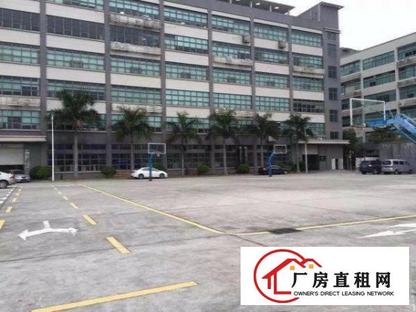  办公仓库200-400平带装修拎包入住