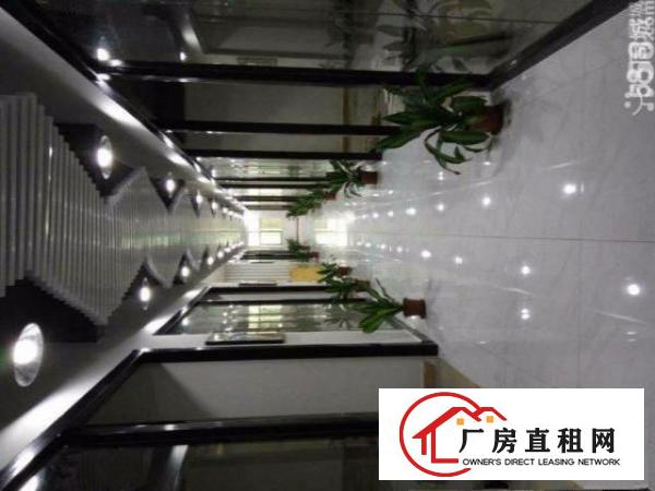  办公仓库200-400平带装修拎包入住