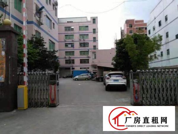  出租深圳龙华盛德工业园自置物业招租
