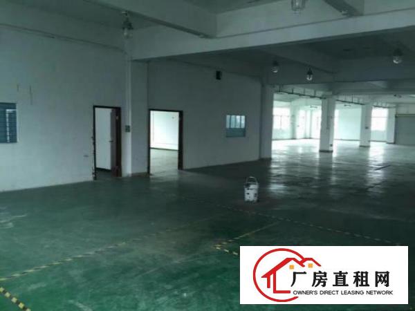  出租深圳龙华盛德工业园自置物业招租
