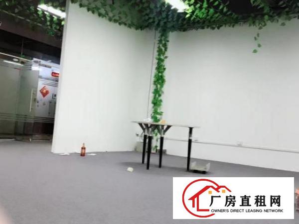  大浪商业中心附近新出300平办公室，1 1格局精装修带前台