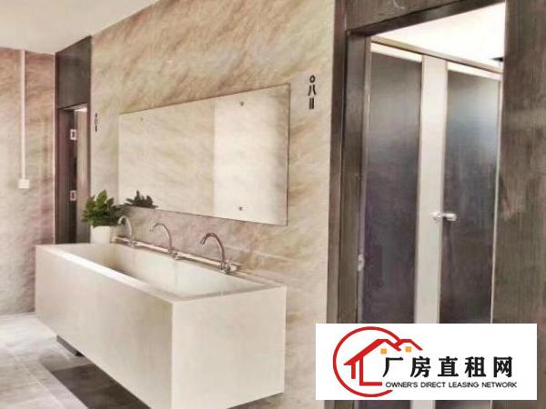  大浪布龙路鹊山路口独栋办公室大小出租！