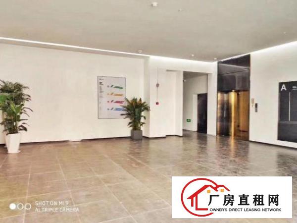  大浪布龙路鹊山路口独栋办公室大小出租！