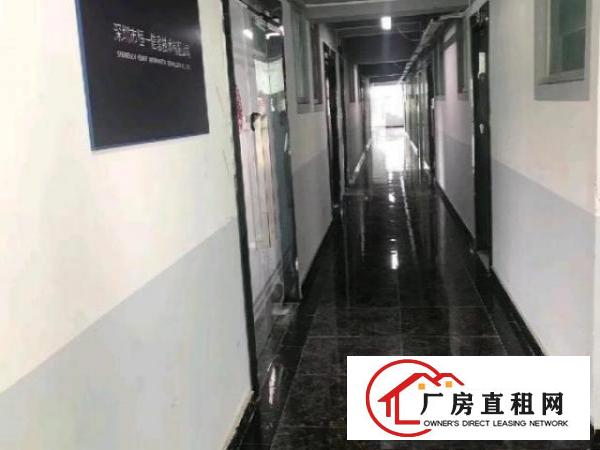  大浪60平到500平-整栋招租