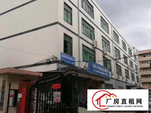  大浪60平到500平-整栋招租