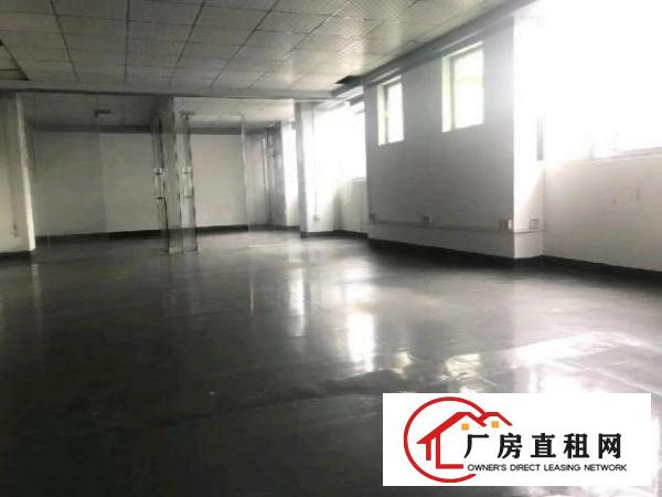  大浪60平到500平-整栋招租