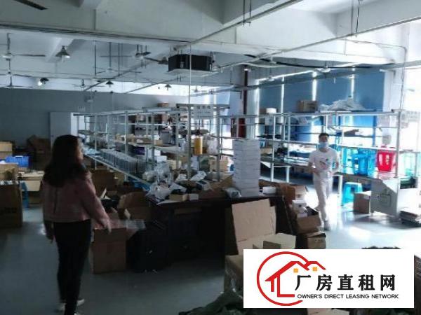  龙华大浪主干道边大型园区二楼精装修1000平厂房出租