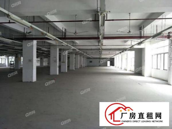  大浪商业中心附近厂房招租可分租小面积加工仓库办公