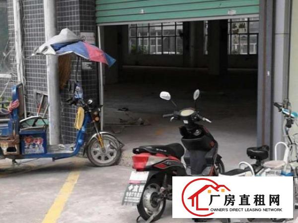  出租龙华新区大浪石观工业区一楼200平7000块打包