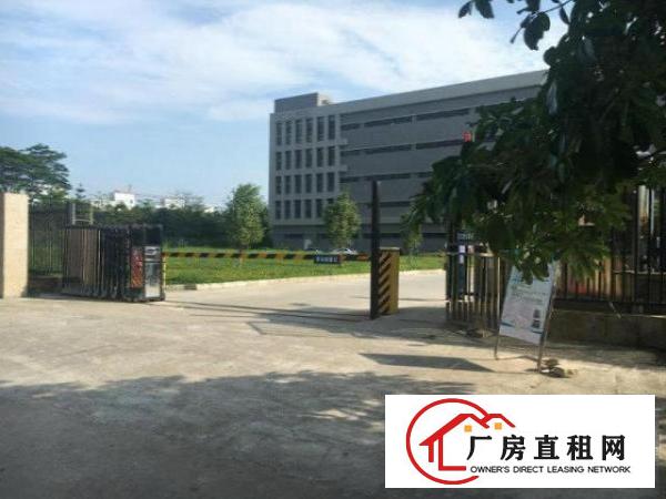  大浪商业中心旁大型创业园小面积厂房出租行业不限可分租