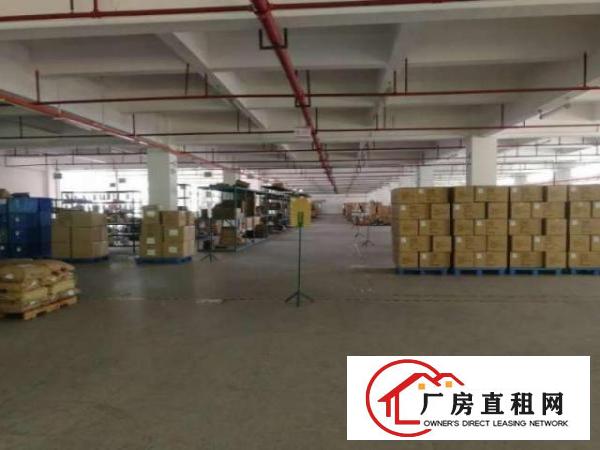  大浪商业中心旁大型创业园小面积厂房出租行业不限可分租
