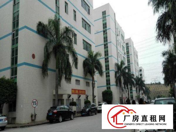  新百丽星光宝科技园新出4楼930平方带装修免转让费低价招租