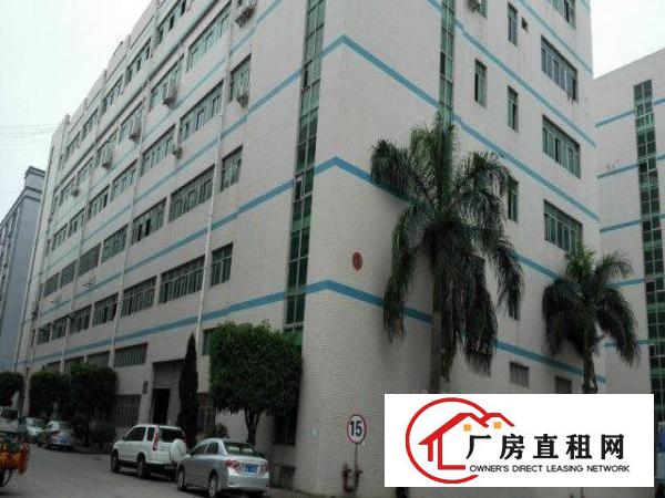  新百丽星光宝科技园新出4楼930平方带装修免转让费低价招租