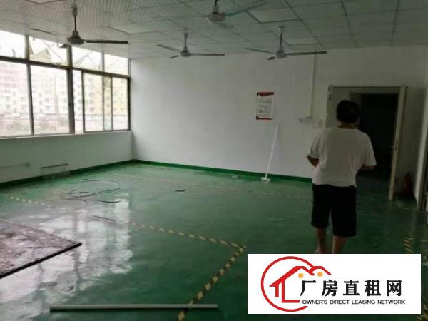  新出大浪嘉安达科技园3楼380平方带装修招租