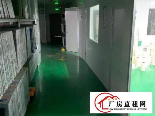  转租大浪繁华路段无尘车间带装修