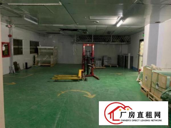  转租大浪繁华路段无尘车间带装修