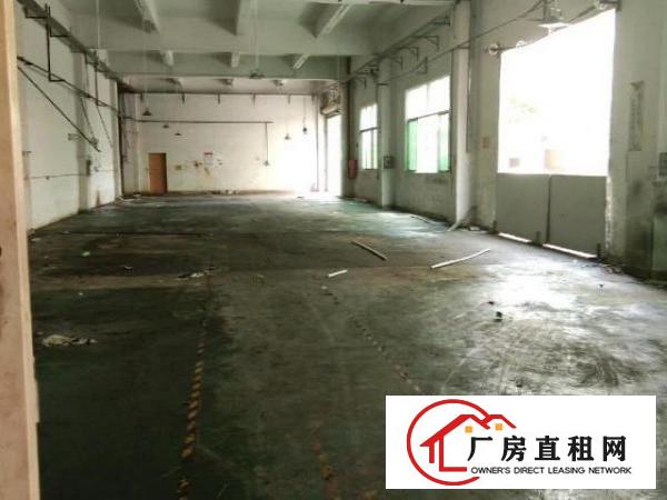  一楼正规厂房原房东招租
